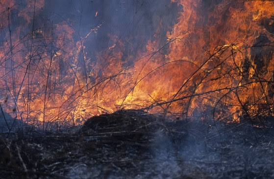 Hot weather, windy conditions lead to high fire danger across portions ...